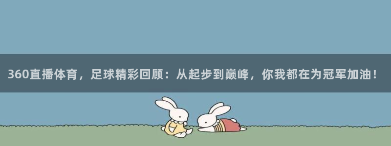360直播体育，足球精彩回顾：从起步到巅峰，你我都在为冠军加油！