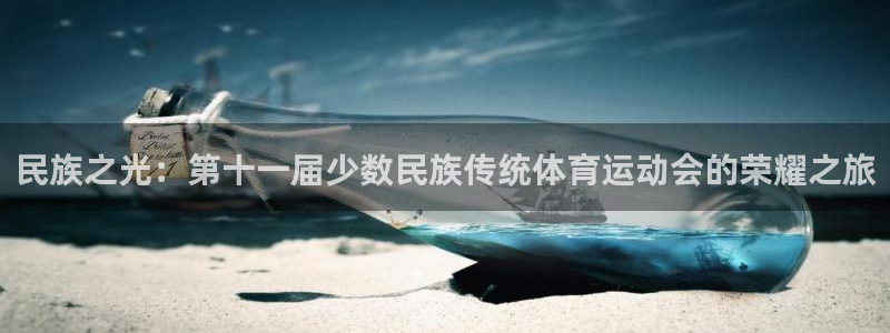 民族之光：第十一届少数民族传统体育运动会的荣耀之旅