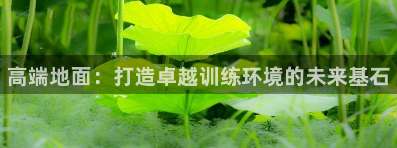 高端地面：打造卓越训练环境的未来基石