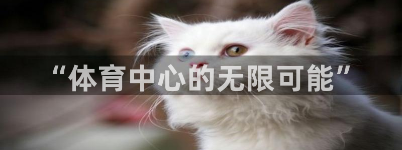 “体育中心的无限可能”