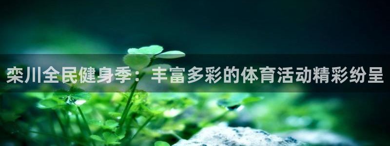 栾川全民健身季：丰富多彩的体育活动精彩纷呈