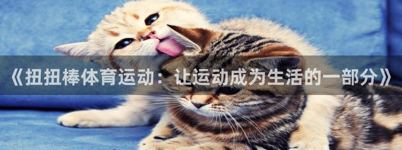 《扭扭棒体育运动：让运动成为生活的一部分》