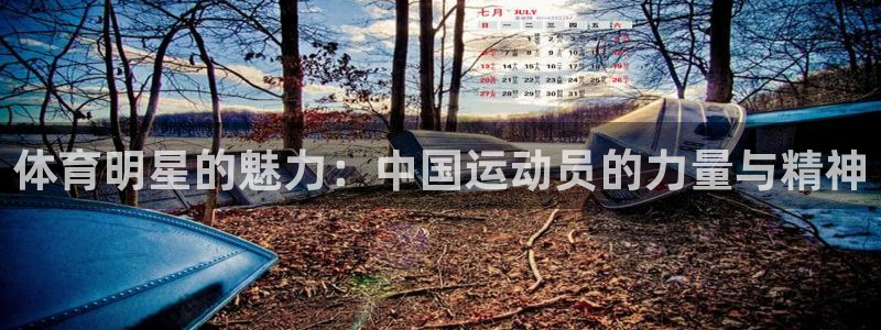 体育明星的魅力：中国运动员的力量与精神