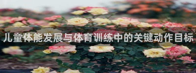 儿童体能发展与体育训练中的关键动作目标