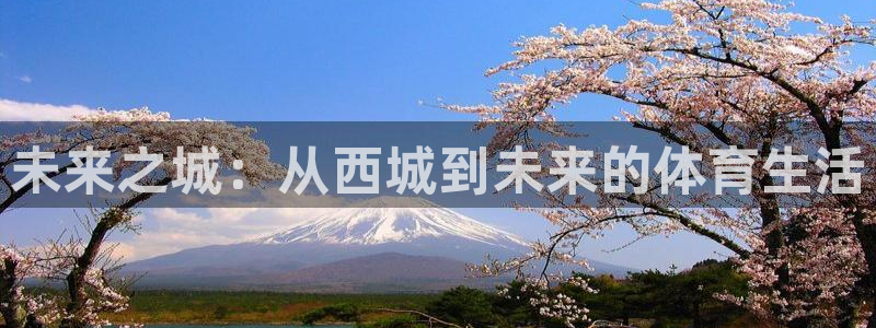 未来之城：从西城到未来的体育生活