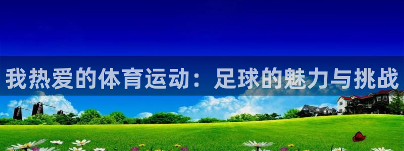 我热爱的体育运动：足球的魅力与挑战