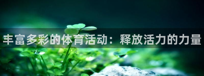 丰富多彩的体育活动：释放活力的力量