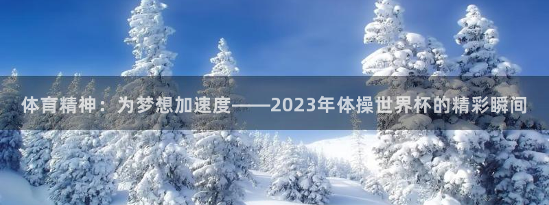 体育精神：为梦想加速度——2023年体操世界杯的精彩瞬间