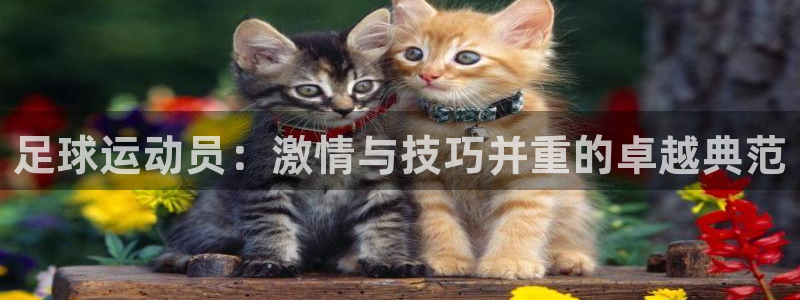 足球运动员：激情与技巧并重的卓越典范
