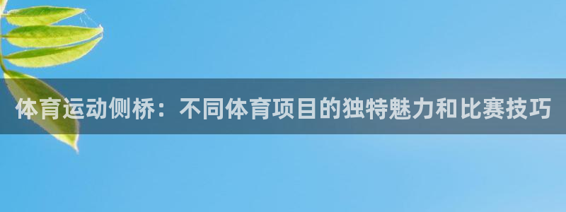 体育运动侧桥：不同体育项目的独特魅力和比赛技巧