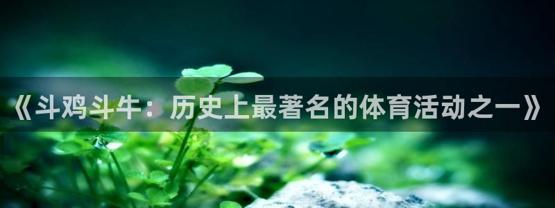 《斗鸡斗牛：历史上最著名的体育活动之一》