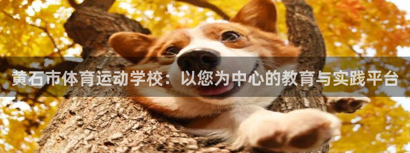 黄石市体育运动学校：以您为中心的教育与实践平台