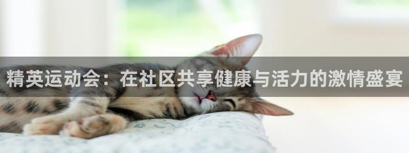 精英运动会：在社区共享健康与活力的激情盛宴