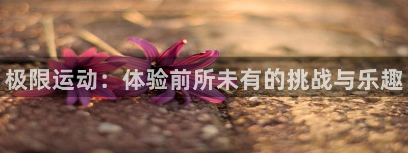 极限运动：体验前所未有的挑战与乐趣