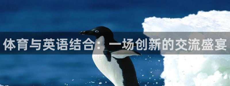 体育与英语结合：一场创新的交流盛宴