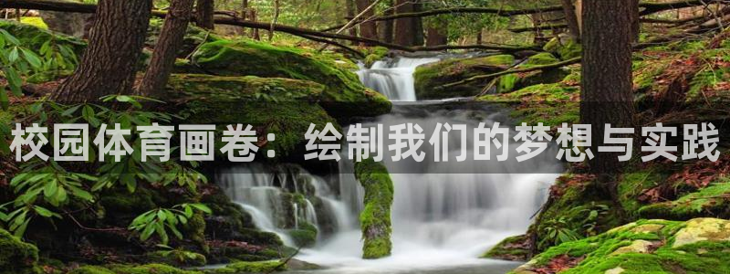 校园体育画卷：绘制我们的梦想与实践
