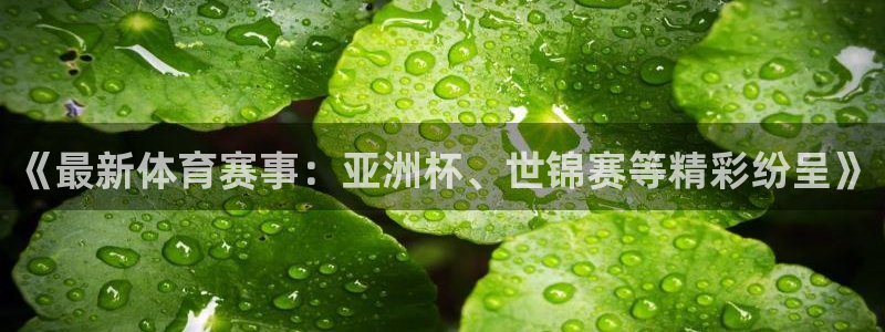 《最新体育赛事：亚洲杯、世锦赛等精彩纷呈》