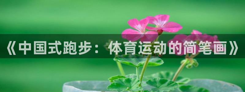 《中国式跑步：体育运动的简笔画》
