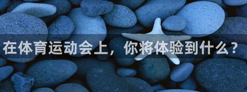 在体育运动会上，你将体验到什么？