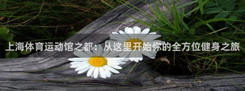 上海体育运动馆之都：从这里开始你的全方位健身之旅