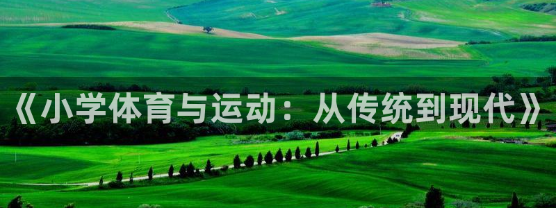《小学体育与运动：从传统到现代》