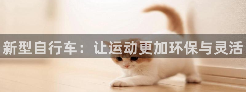 新型自行车：让运动更加环保与灵活