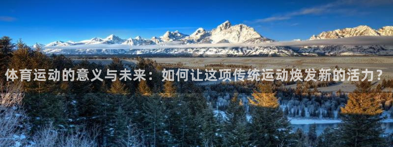 体育运动的意义与未来：如何让这项传统运动焕发新的活力？