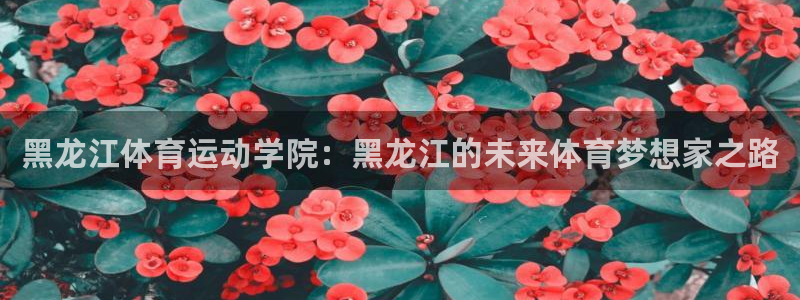 黑龙江体育运动学院：黑龙江的未来体育梦想家之路