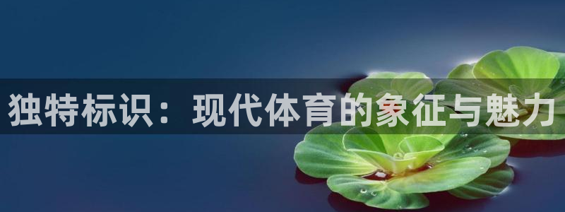 独特标识：现代体育的象征与魅力