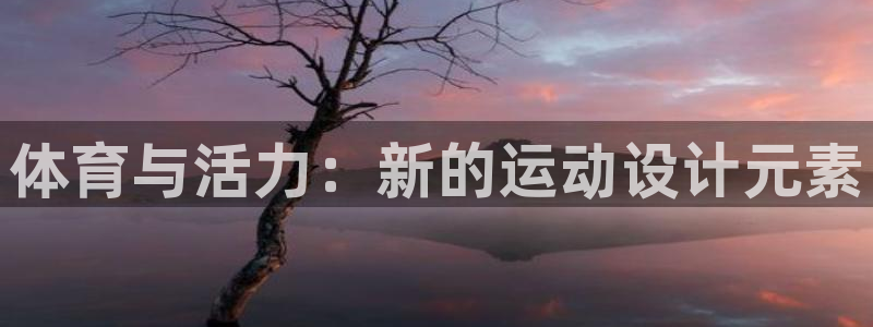 体育与活力：新的运动设计元素