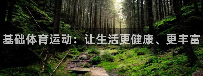 基础体育运动：让生活更健康、更丰富