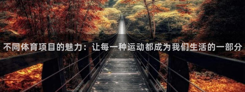 不同体育项目的魅力：让每一种运动都成为我们生活的一部分