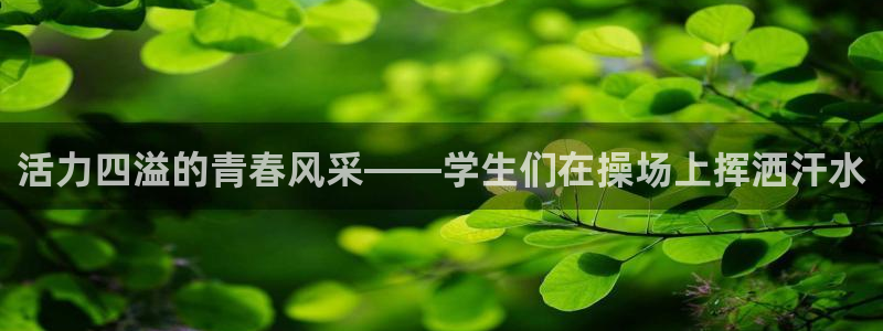 活力四溢的青春风采——学生们在操场上挥洒汗水