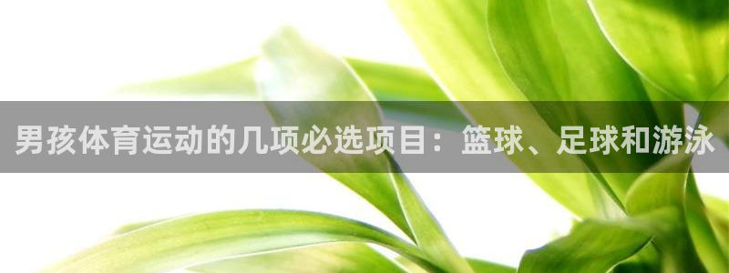 男孩体育运动的几项必选项目：篮球、足球和游泳