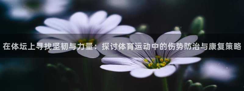 在体坛上寻找坚韧与力量：探讨体育运动中的伤势防治与康复策略